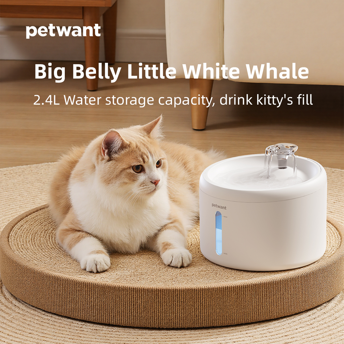 Petwant Cat Drink Fountain 2.4L Triple Filtration System Ultra-Quiet Machine Washable for Cats Water Drink