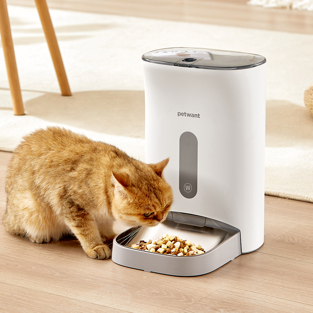 Petwant Smart Pet Feeder 4.5L Visible APP WIFI Control Timed Voice Recorder Automatic Feeder of Cats