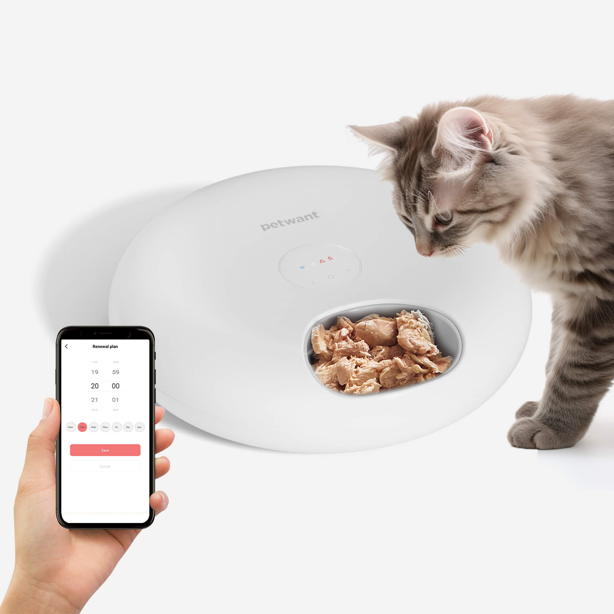 Petwant Wholesale WIFI Smart 6 Meals Cat Food Dispenser Tuya APP Control Remote Feeding Anti-jamming Timed Auto Pet Feeder