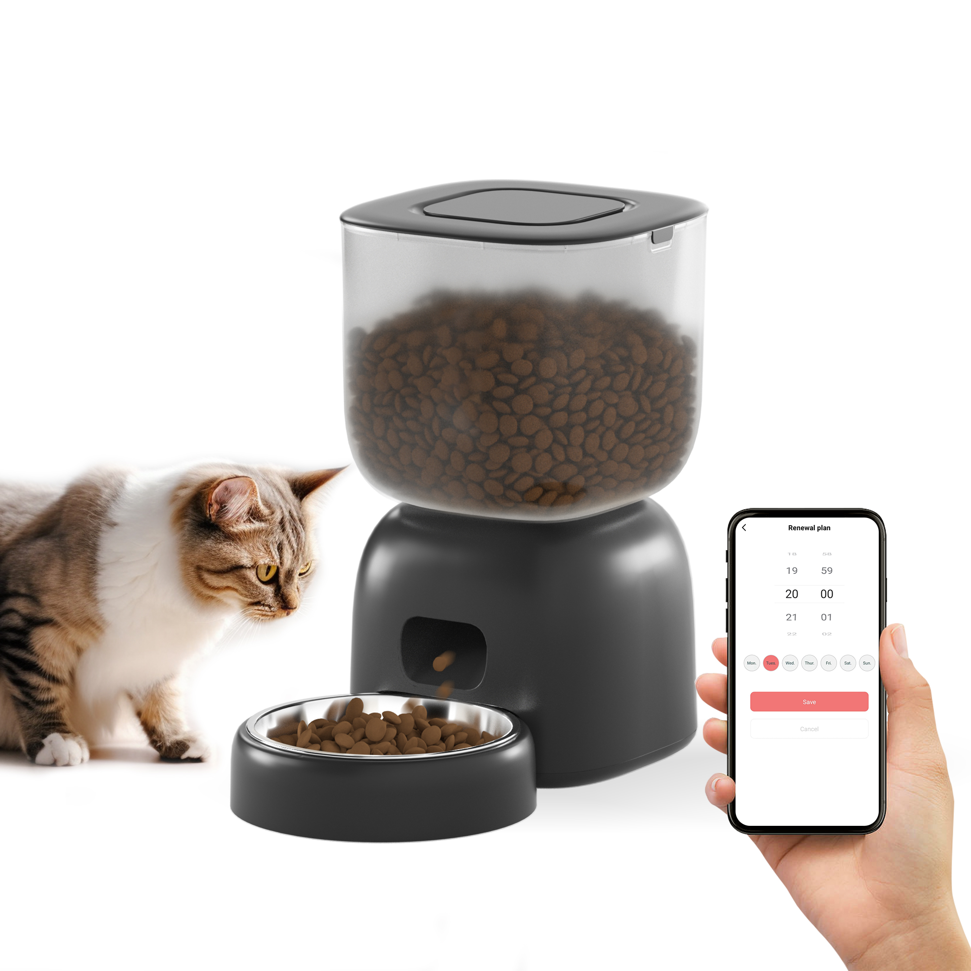 Petwant smart feeder best sale