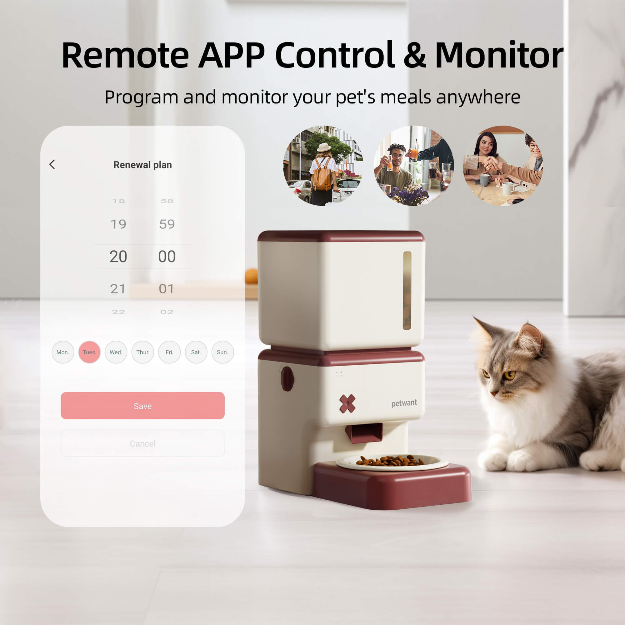 petware automatic pet feeder