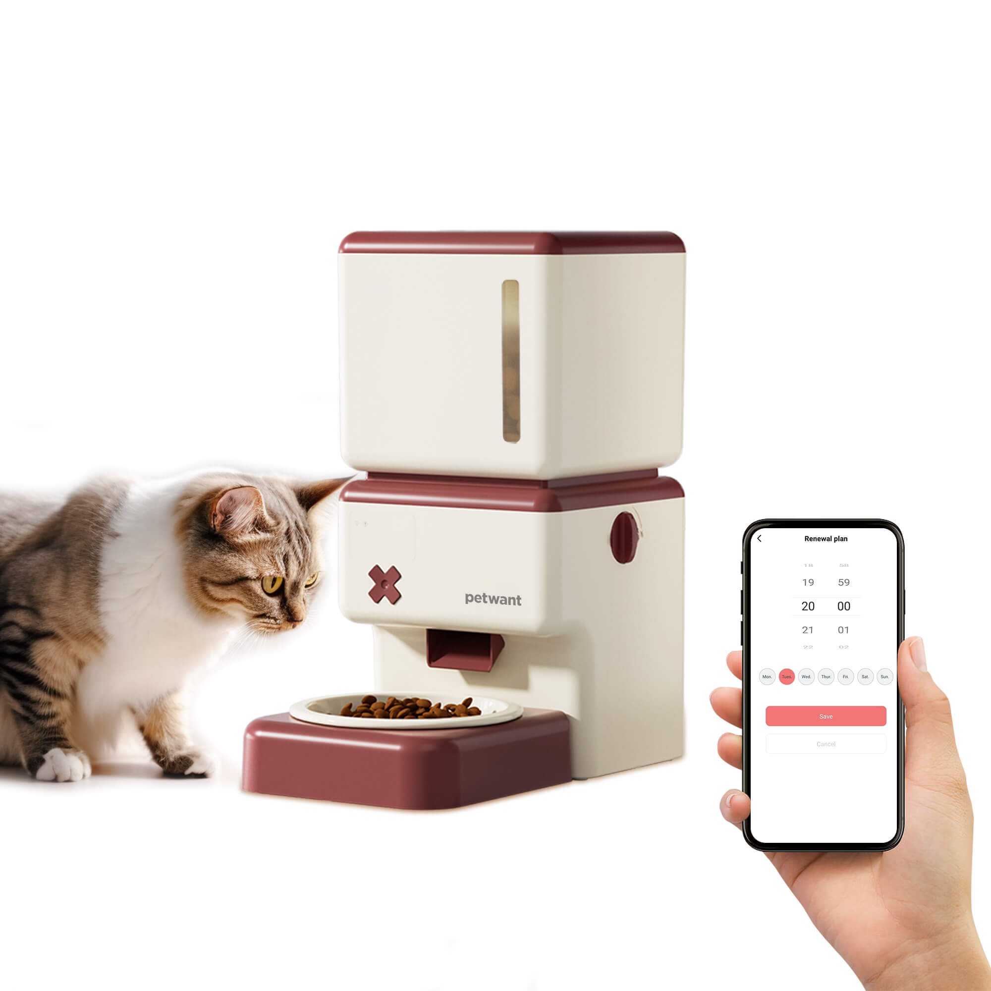 Active cat feeder best sale