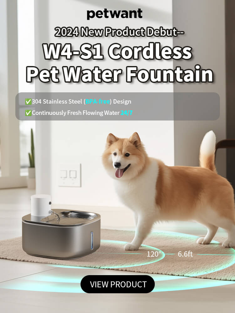 The Best Water Fountain for Cats and Dogs in 2024