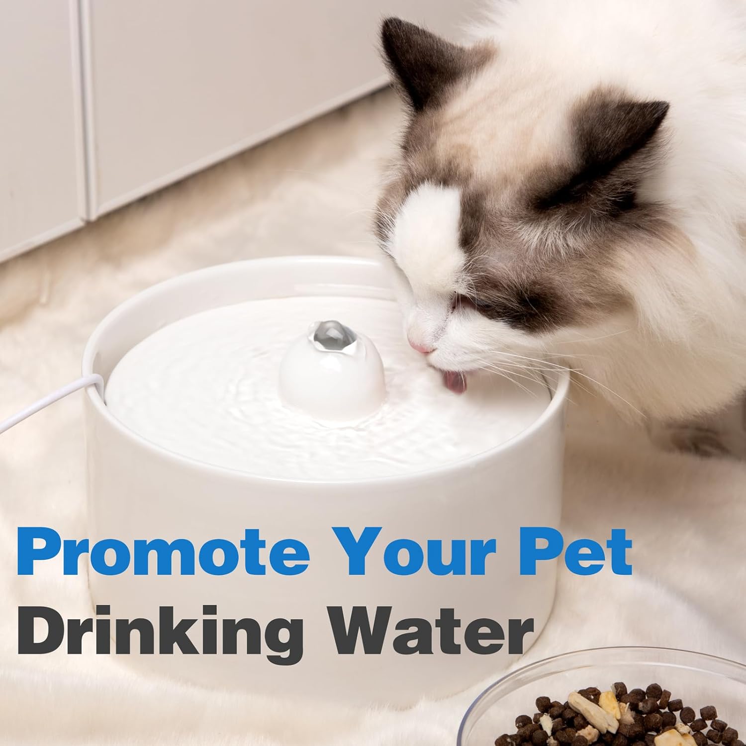 W5 Pet Water Dispenser