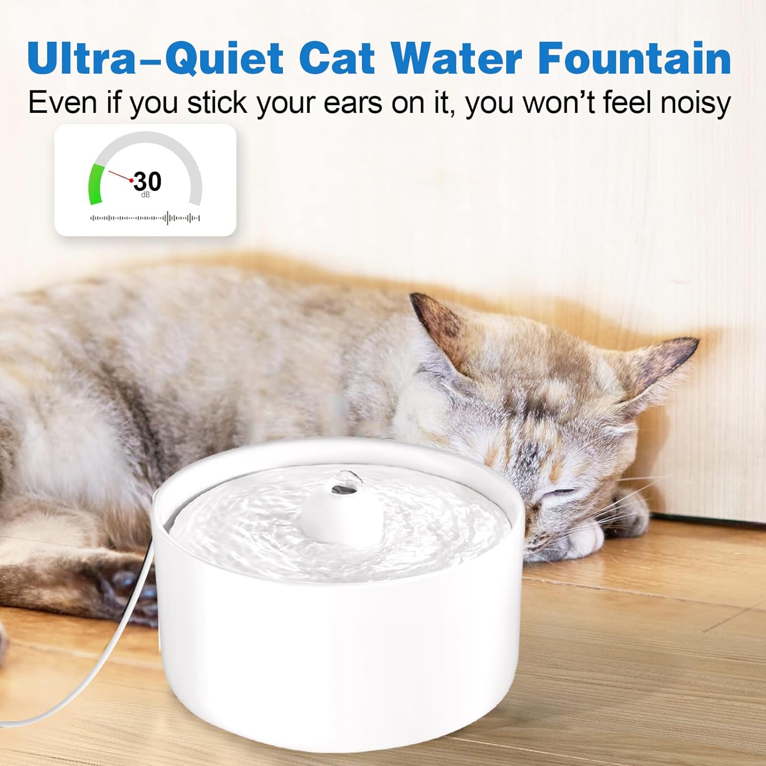 W5 Pet Water Dispenser