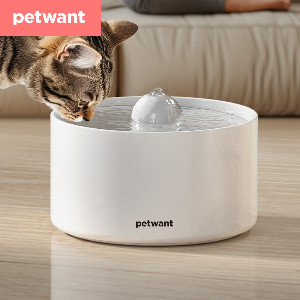 W5 Pet Water Dispenser