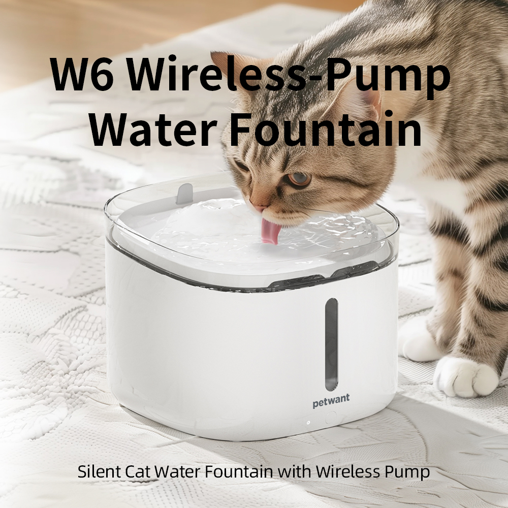 W6 Cat Drink Fountain