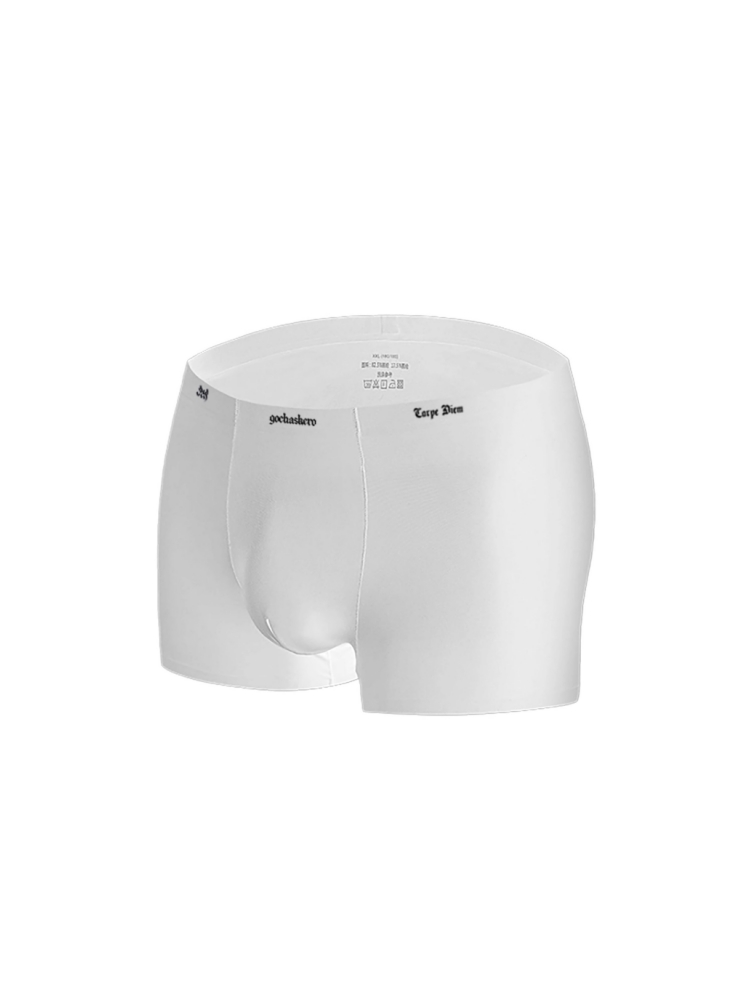 GOCHASKERO Printed Ice Silk Men's Underwear