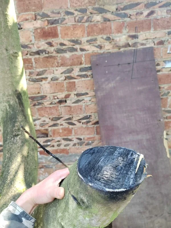 Powerful Laser Obstacle Remover 1200W
