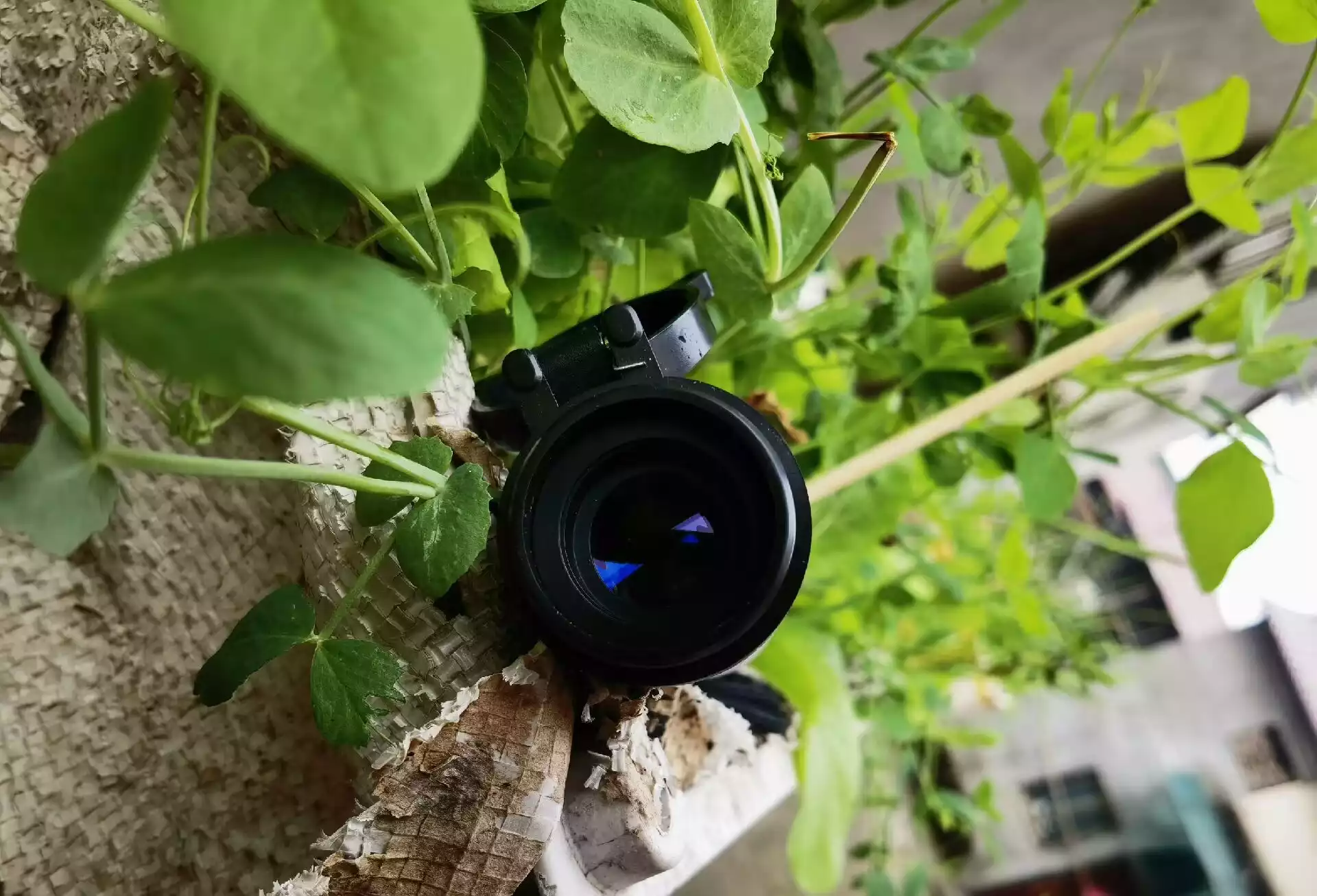 Handheld 455nm 6W 640nm 2W 525nm 1.6W Laser Pointer