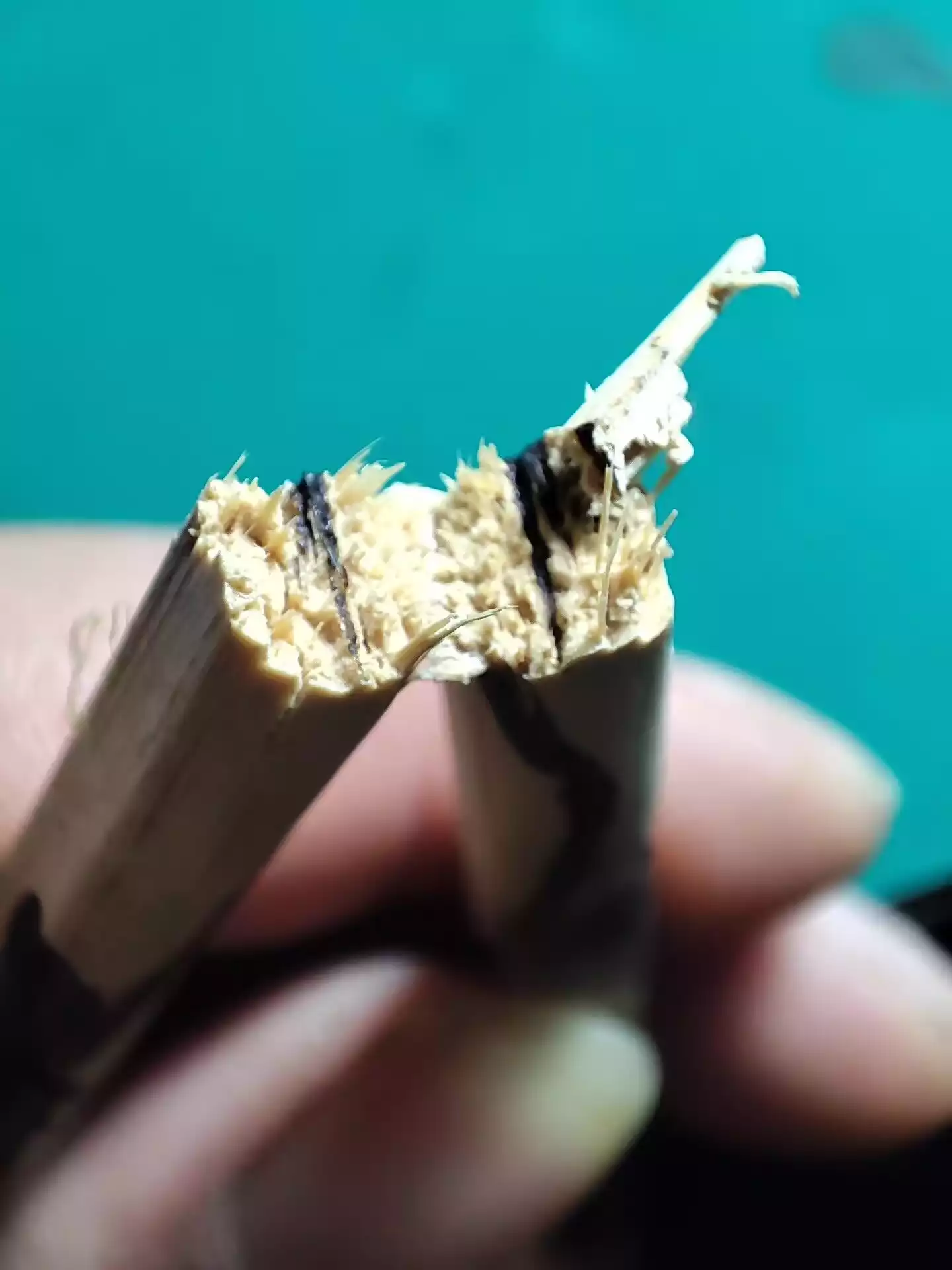 Long Range 450nm 5340MW Blue Laser Pointer