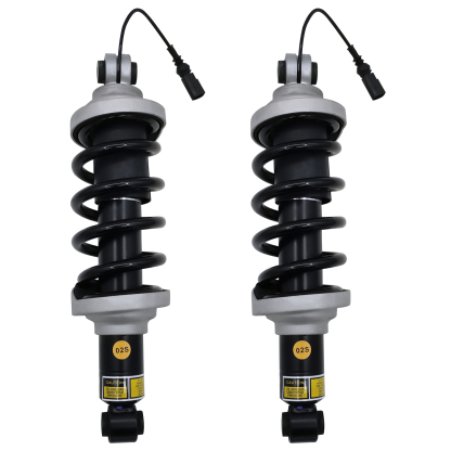 Rear Shock Absorber Assy with Magnetic Ride Control for Audi R8 Spyder 2016-2021 4.2L 5.2L  