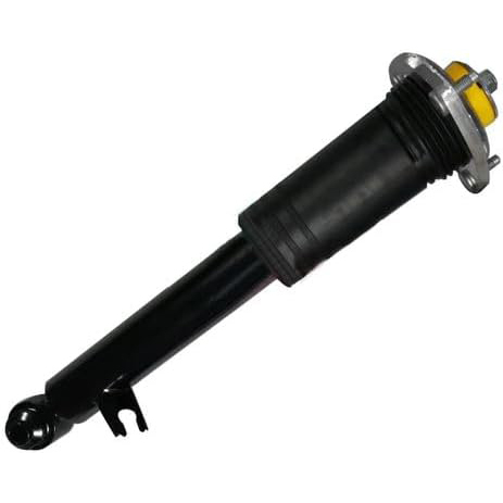 Pair Rear Shock Asborber Struts fit for BMW X5 E70 X6 E71 xDrive35i 50i 2007-2014