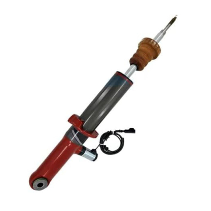 Pair Front Left Right Shock Absorber Struts fit for Ford F150 XL XLT SSV 2017-2024