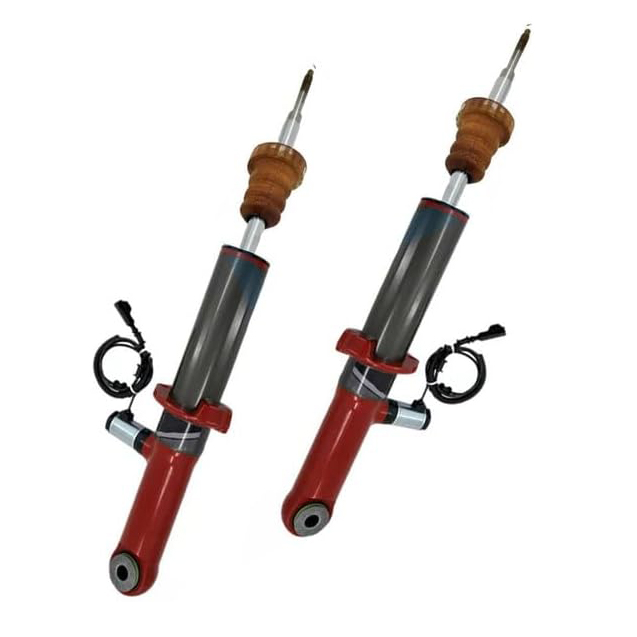 Pair Front Left Right Shock Absorber Struts fit for Ford F150 XL XLT SSV 2017-2024