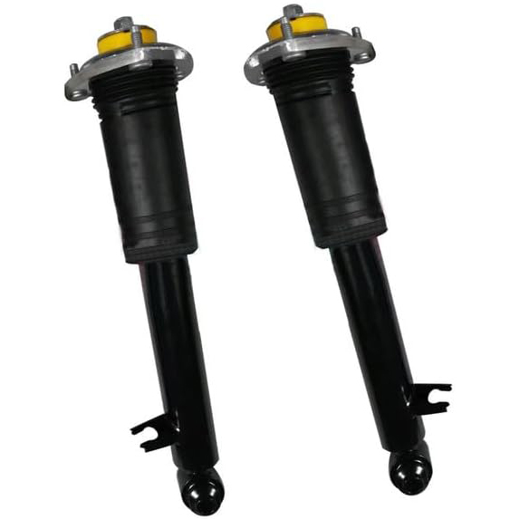 Pair Rear Shock Asborber Struts fit for BMW X5 E70 X6 E71 xDrive35i 50i 2007-2014