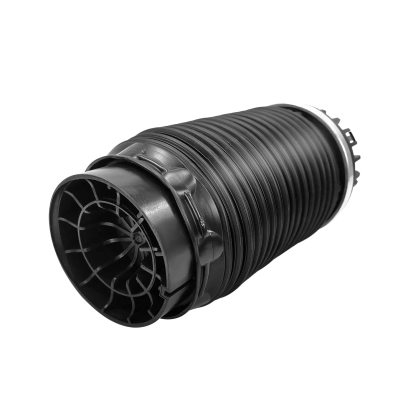 Pair Rear Left and Right Air Suspension Spring for Dodge Ram 1500 3.0L Diesel 3.6L 5.7L 2013-2018 