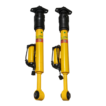 Rear Shock Absorber Assembly Fit for Dodge Challenger / Charger 2015-2023