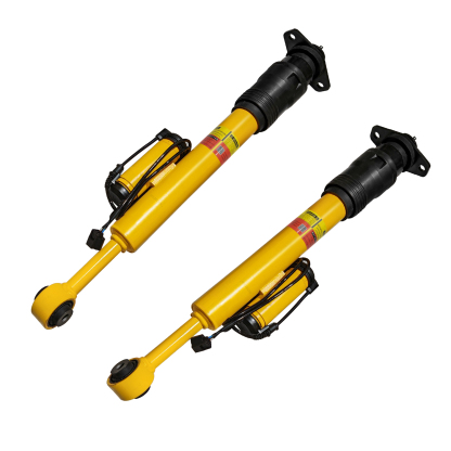 Rear Shock Absorber Assembly Fit for Dodge Challenger / Charger 2015-2023