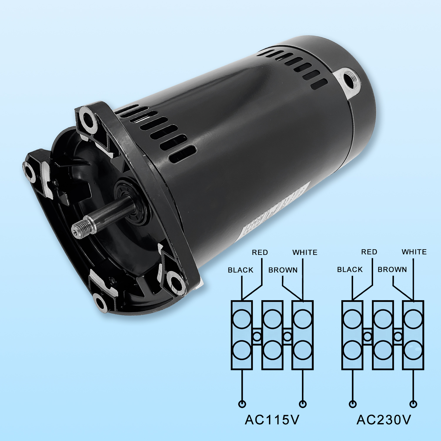 E☆ BE CLASSIC Replacement Keyed Shaft Pool Motor 2HP | EB808 | Pool Supply