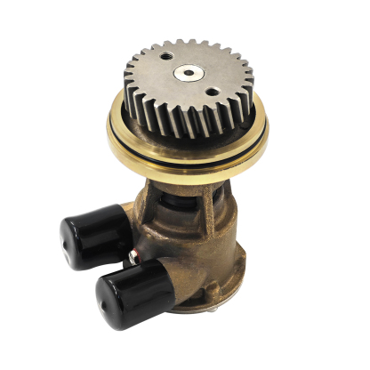 Cooling Raw Water Pump Fit for CAT Caterpillar 3054 3054B Engine 425-5411 for Small Skid Steers in Industry Agriculture