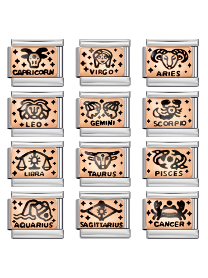 Rose Gold Zodiac Sign Modular Charm-Tatan Band