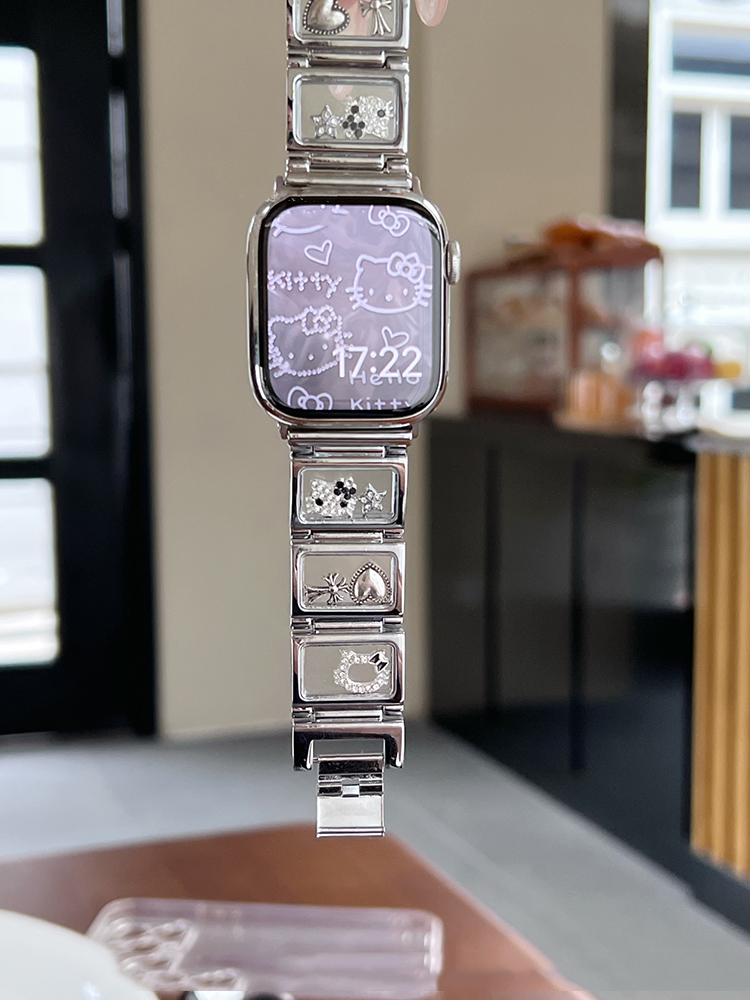 Glass Window Kitty Stainless Steel Band