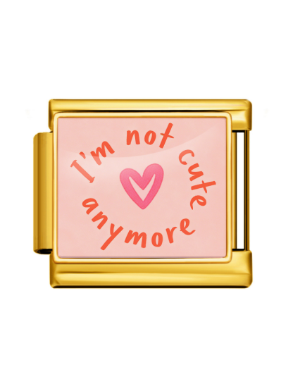 Pink Series Modular Charm