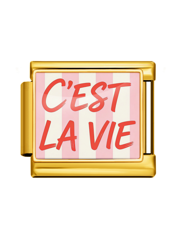 Pink Series Modular Charm