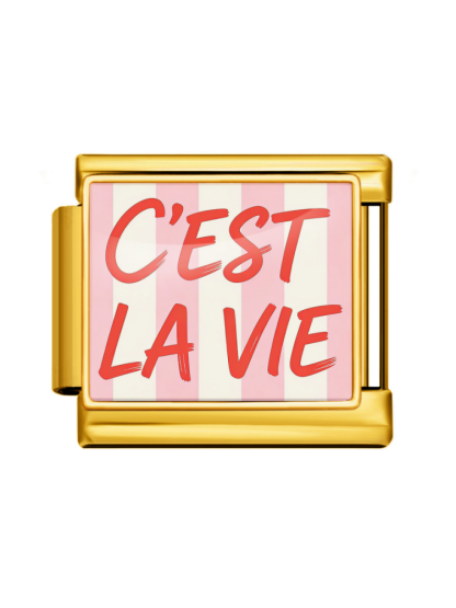 Pink Series Modular Charm