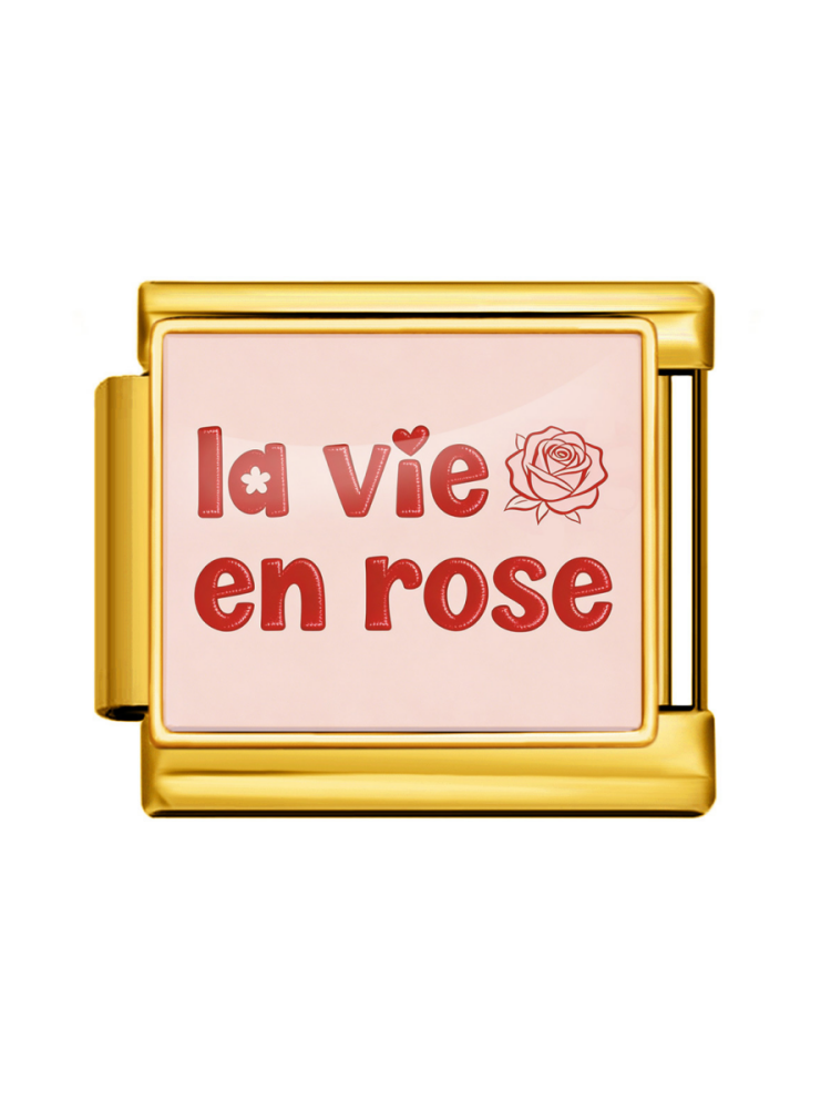 Pink Series Modular Charm