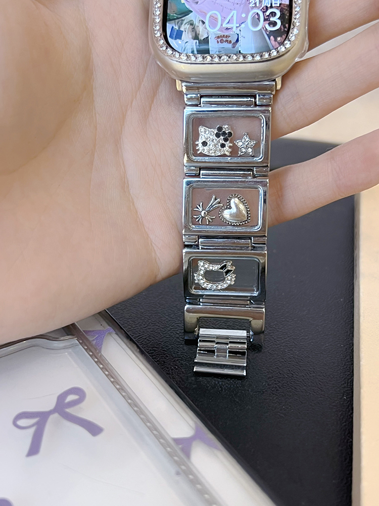 Glass Window Kitty Stainless Steel Band