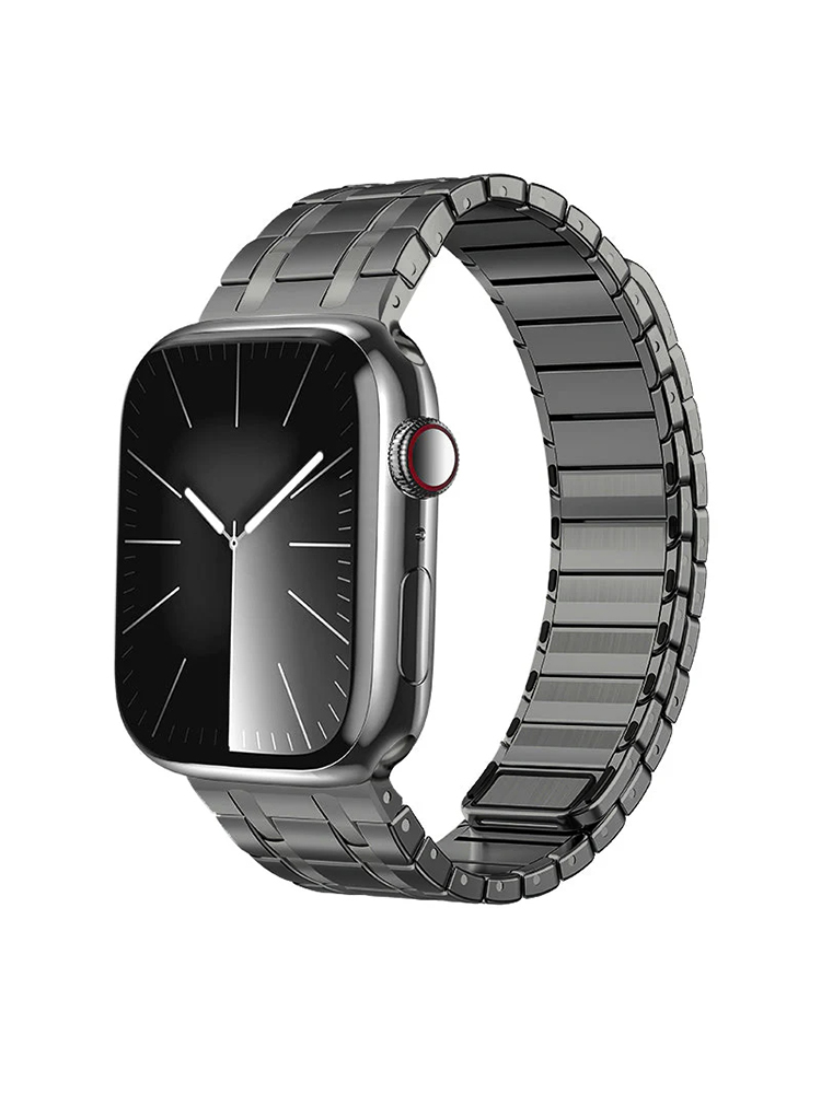 AP Frosted Magnetic Stainless Steel Band