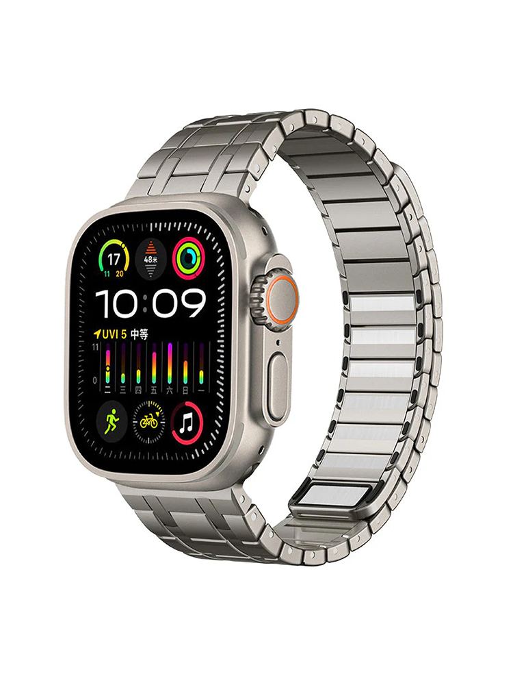 AP Frosted Magnetic Stainless Steel Band