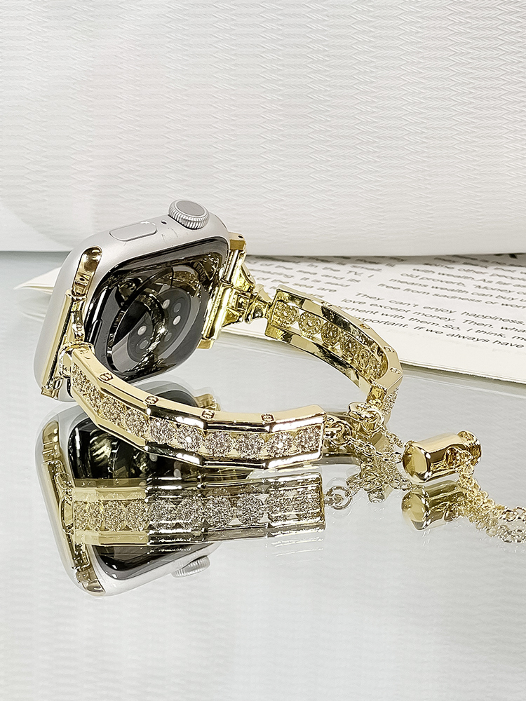 Zircon Arrangement Bracelet Stainless Steel Band