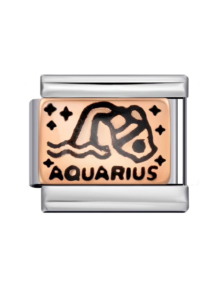 Rose Gold Zodiac Sign Modular Charm-Tatan Band