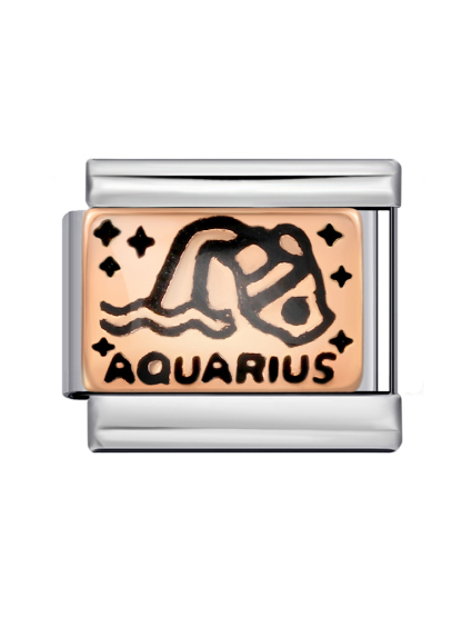 Rose Gold Zodiac Sign Modular Charm-Tatan Band