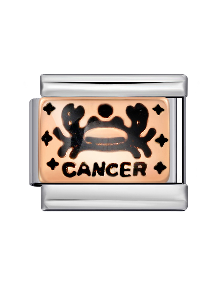 Rose Gold Zodiac Sign Modular Charm-Tatan Band