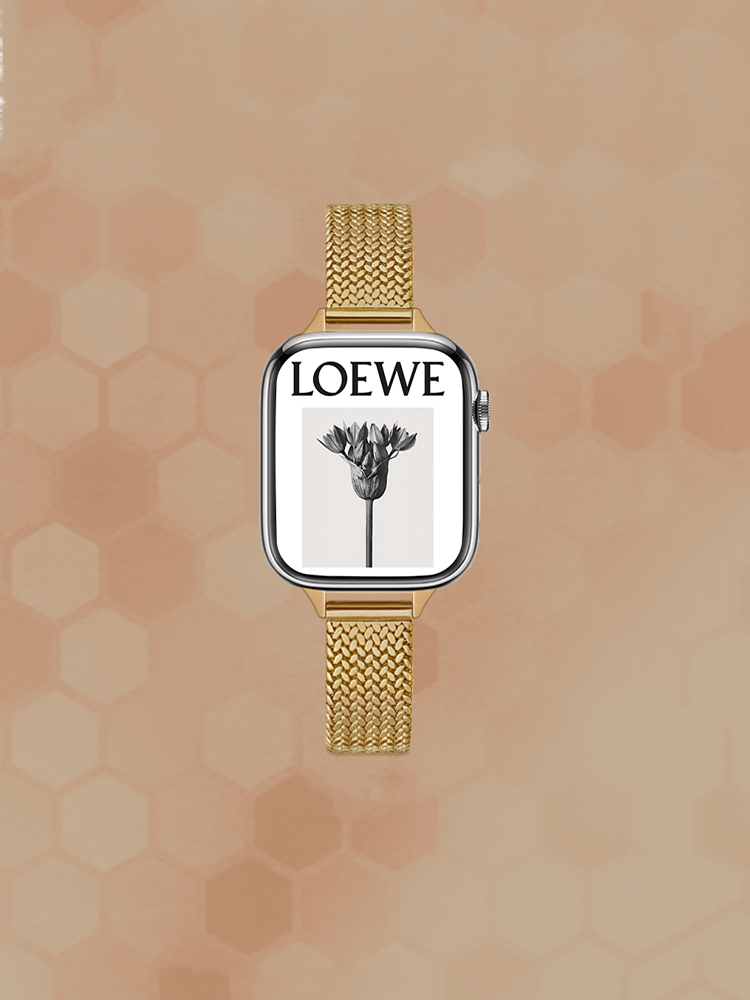 Dense Network Stainless Steel Band