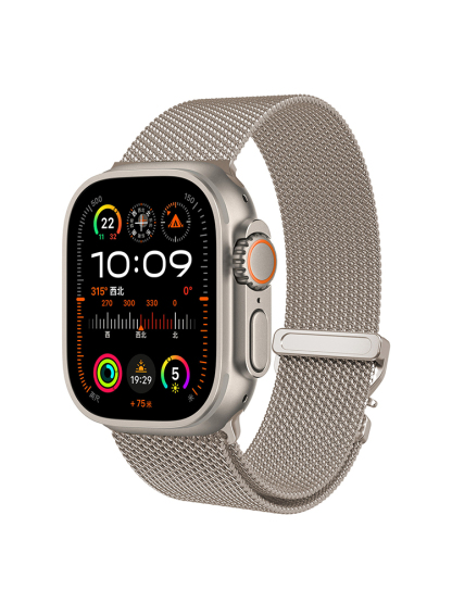 Quick Release_Buckle Milanese Stainless Steel Band