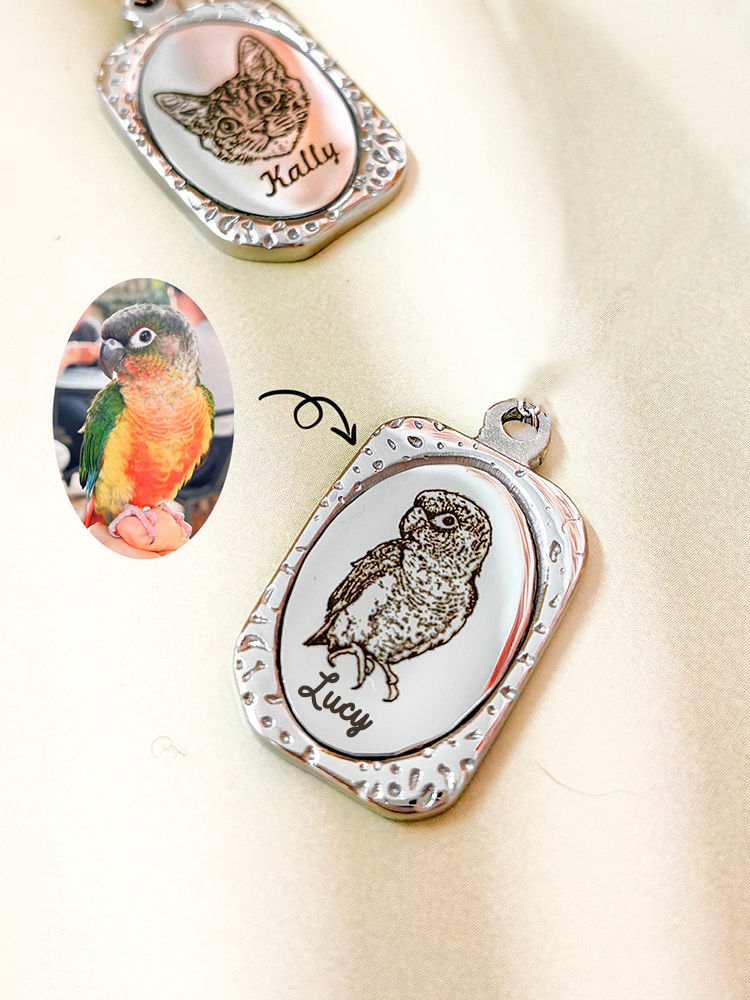 Customized Pet Magic Mirror Pendant Titanium Steel Necklace