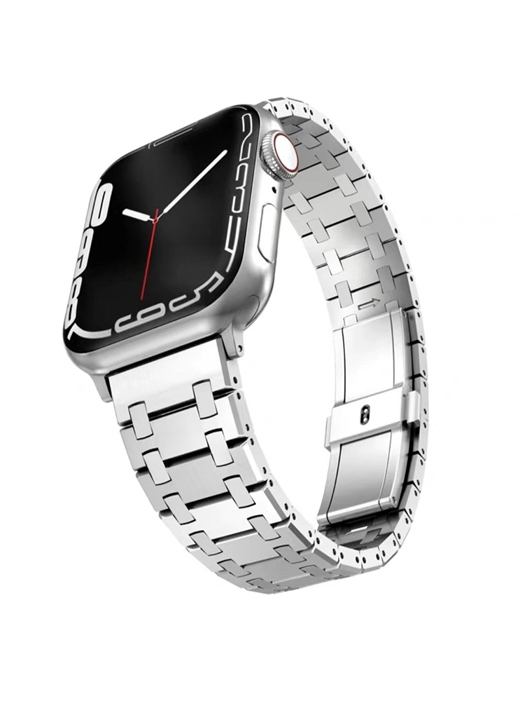 AP Premium Stainless Steel Band