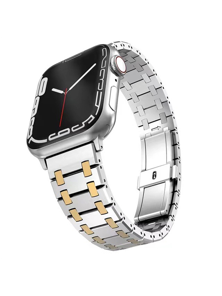 AP Premium Stainless Steel Band