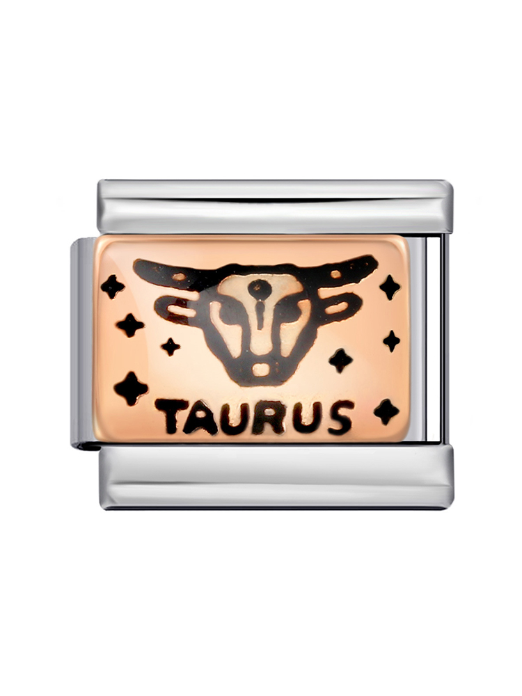 Rose Gold Zodiac Sign Modular Charm-Tatan Band