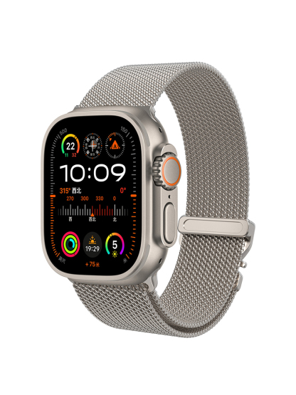 Quick Release_Buckle Milanese Stainless Steel Band