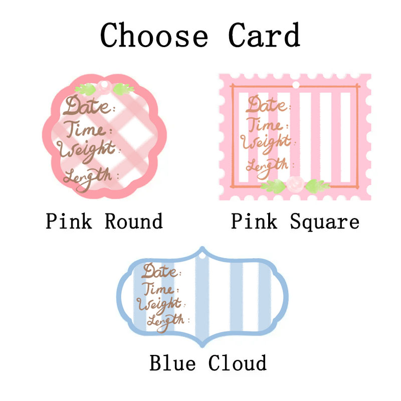 Baby Girl Nursery Door Hospital Door Hanger