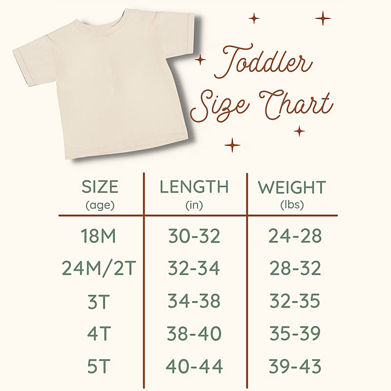 Pink Retro Birthday Babe Toddler Shirt