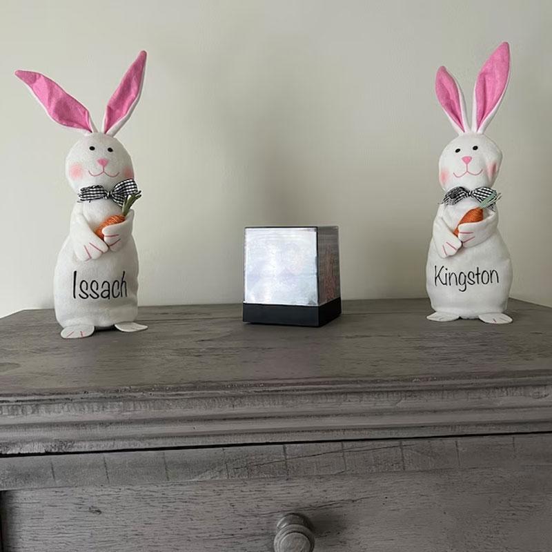 Personalized Beanie Bunny Toy, Spring Decor, Easter Decor