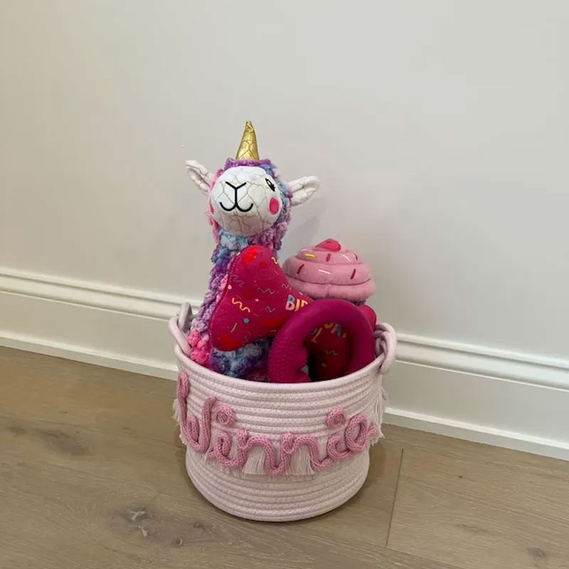 Personalized gift basket diaper storage custom name