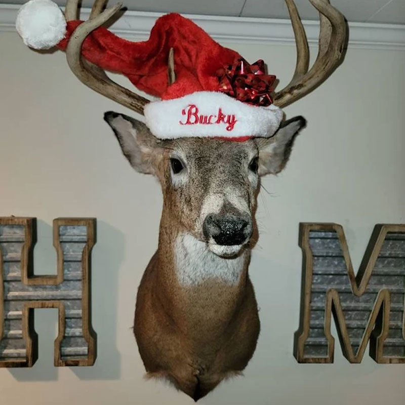 Plush Velvet Personalized Santa Hat
